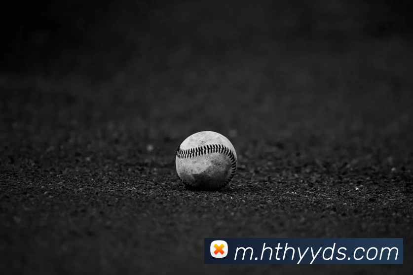 奖项3